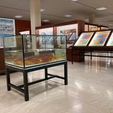 Νέο εντυπωσιακό έκθεμα του Μουσείου Ζωολογίας
