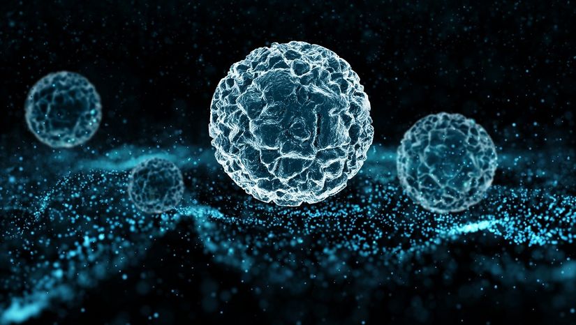 Σημαντική δημοσίευση για την λειτουργία των βλαστικών κυττάρων από τον Καθηγητή του Ε.Κ.Π.Α. Αριστείδη Γ. Ηλιόπουλο