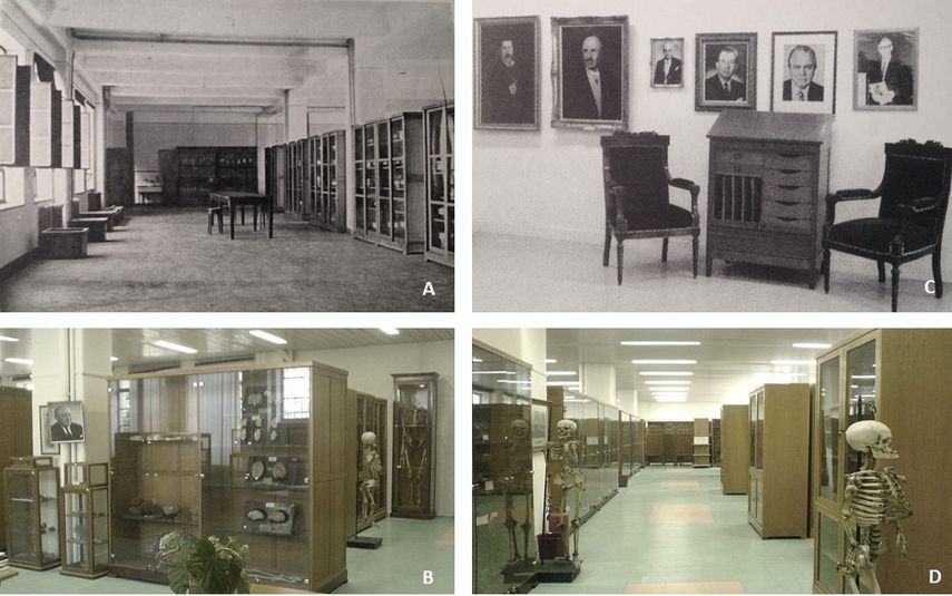 Το Μουσείο Ανατομίας της Ιατρικής Σχολής του Εθνικού και Καποδιστριακού Πανεπιστημίου Αθηνών όπως ιδρύθηκε το 1902 και B, C, D. απόψεις από τα σημερινά εκθέματα (2012)