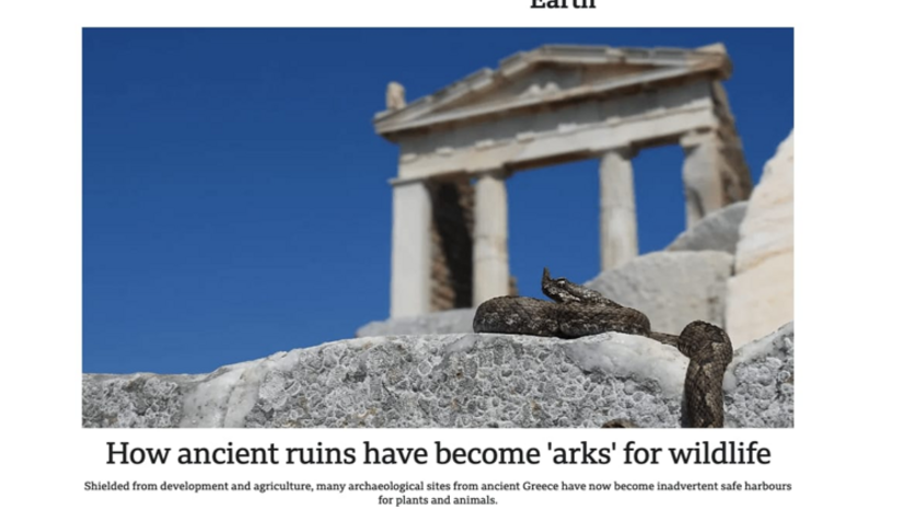 Άρθρο στο BBC για το ΒΙΑΣ: Διεθνής αναγνώριση για το καινοτόμο έργο καταγραφής της βιοποικιλότητας σε αρχαιολογικούς χώρους που έφερε εις πέρας το ΕΚΠΑ
